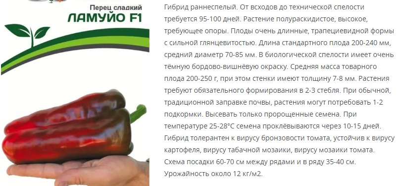 Перец сладкий Ламуйо F1 (1 упаковка - 5 шт.)