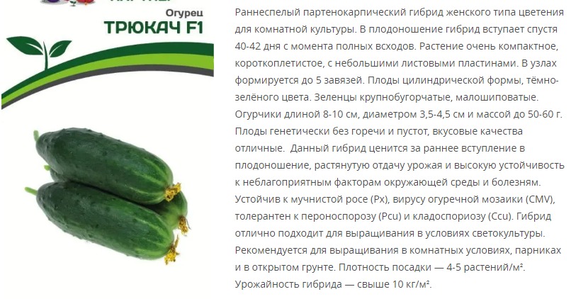 Огурец  партенокарпический Трюкач F1  (1 упаковка - 5 шт.)