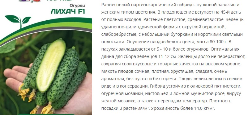 Огурец партенокарпический Лихач F1 (1 упаковка - 5 шт)