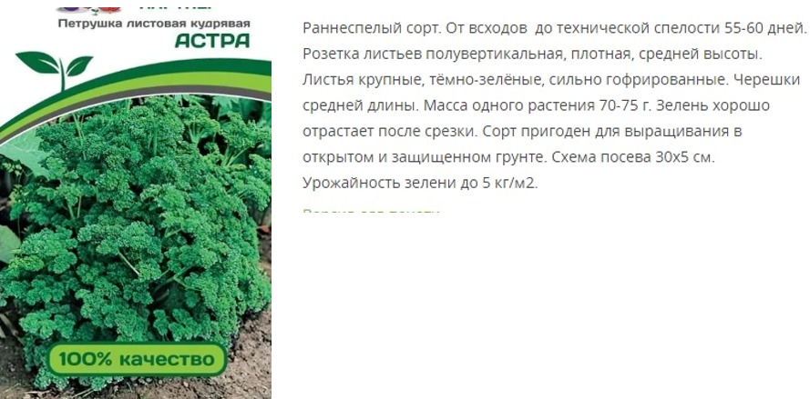 Петрушка  кудрявая Астра ( 1 упаковка - 3 гр.)