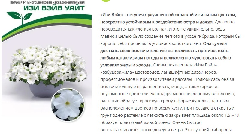 Петуния "Изи Вэйв" Уайт F1 каскадно-ампельная (5 шт)