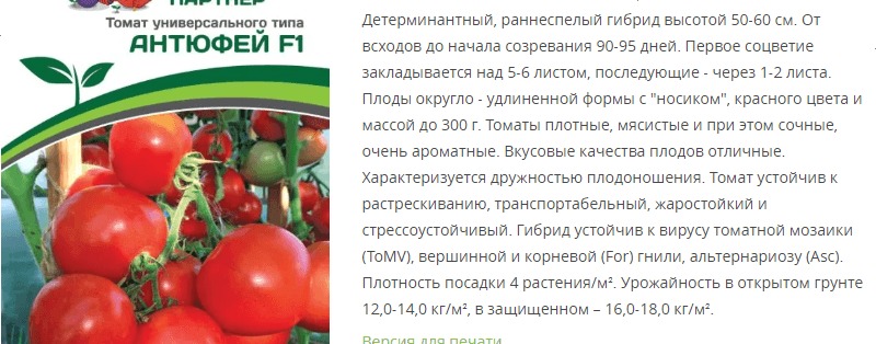 Томат Антюфей F1 (1 упаковка - 0,1 гр)