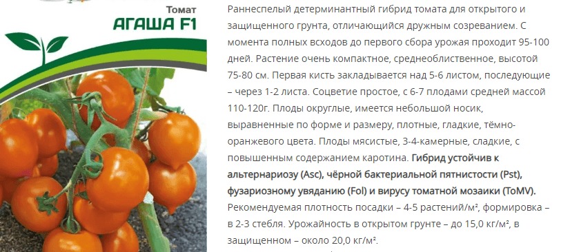 Томат Агаша F1 (1 упаковка - 0,05 гр)