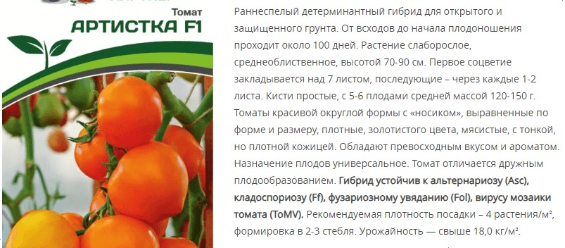 Томат Артистка F1 (1 упаковка - 0,05 гр.)