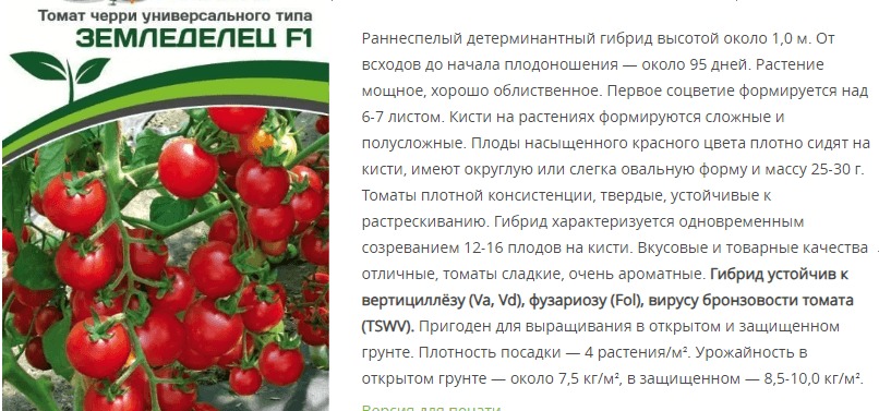 Томат Земледелец F1 (1 упаковка - 0,05 гр.)