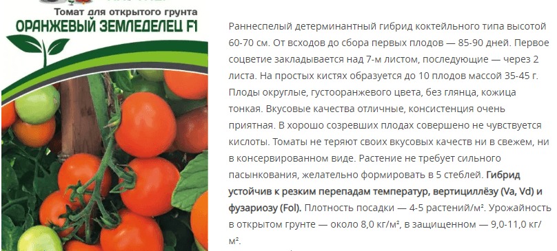 Томат Оранжевый Земледелец F1 (1 упаковка - 0,05 гр.)