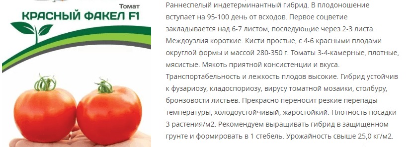 Томат Красный Факел F1 (1 упаковка - 5 шт)