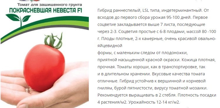 Томат Покрасневшая Невеста F1 (1 упаковка - 10 шт)