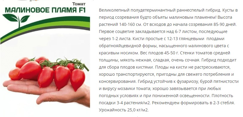 Томат Малиновое Пламя F1 (1 упаковка - 10 шт)