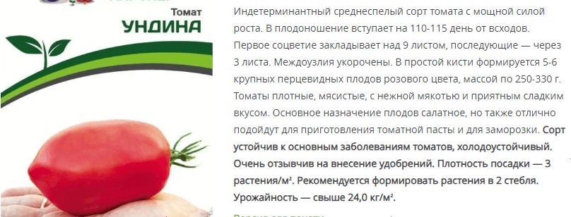 Томат Ундина (1 упаковка - 0,05гр)