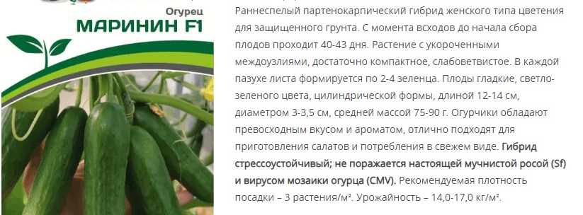 Огурец партенокарпический Маринин F1 (1 упаковка - 5 шт.)