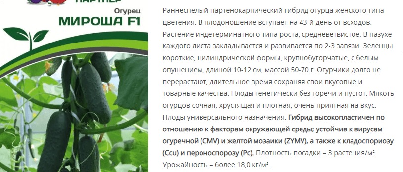 Огурец партенокарпический Мироша F1 (1 упаковка - 10 шт.)