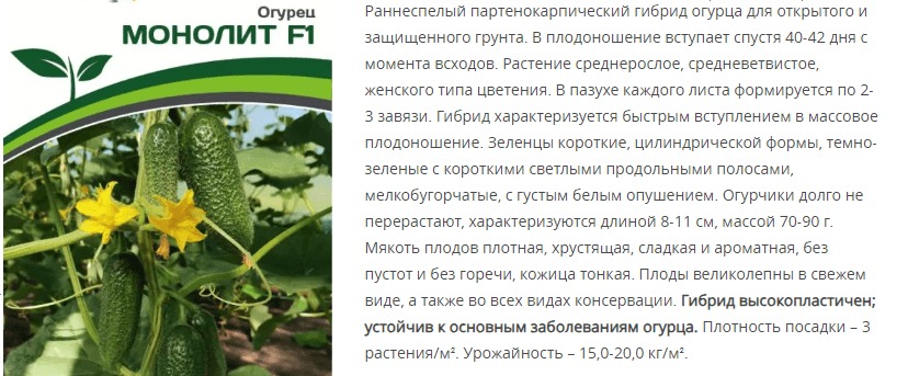Огурец партенокарпический Монолит F1 (1 упаковка - 5 шт)