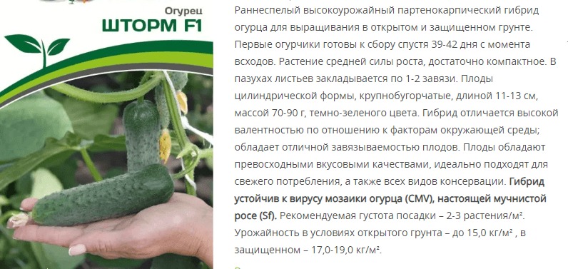 Огурец партенокарпический Шторм F1 (1 упаковка - 5 шт)
