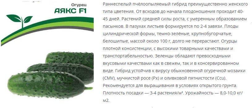 Огурец пчелоопыляемый Аякс F1 (1 упаковка - 10 шт.)