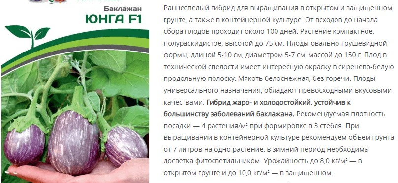 Баклажан Юнга F1 (1 упаковка - 10 шт.)