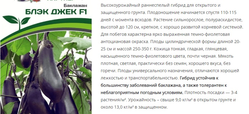 Баклажан Блэк Джек F1 (1 упаковка - 10шт)