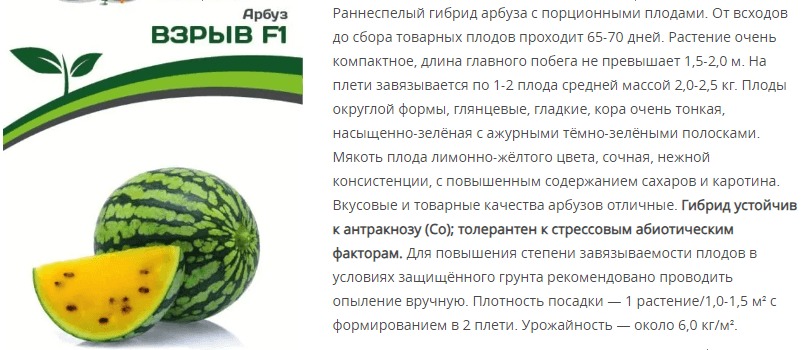 Арбуз Взрыв F1 (1 упаковка - 5 шт.)