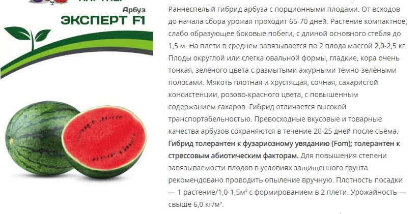 Арбуз Эксперт F1 (1 упаковка - 5 шт)