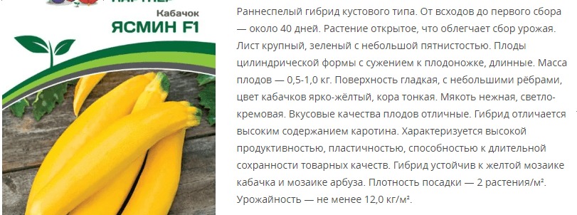 Кабачок Ясмин F1 (1 упаковка - 5 шт.)