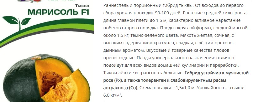 Тыква Марисоль F1 (1 упаковка - 5 шт.)
