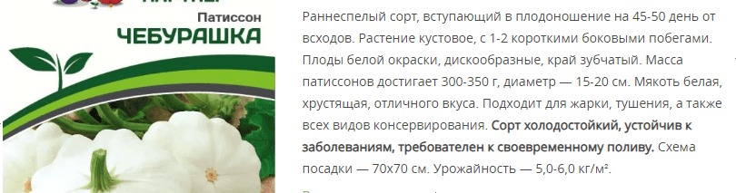 Патиссон Чебурашка (1 упаковка - 10 шт.)