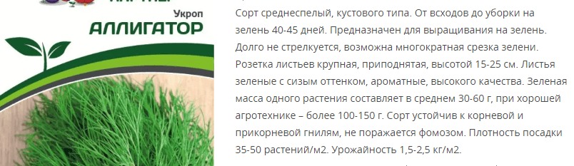 Укроп Аллигатор (1 упаковка - 2 гр.)