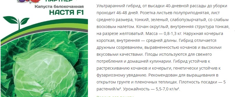 Капуста белокочанная ультраранняя Настя F1 (1 упаковка - 0,2 гр.)