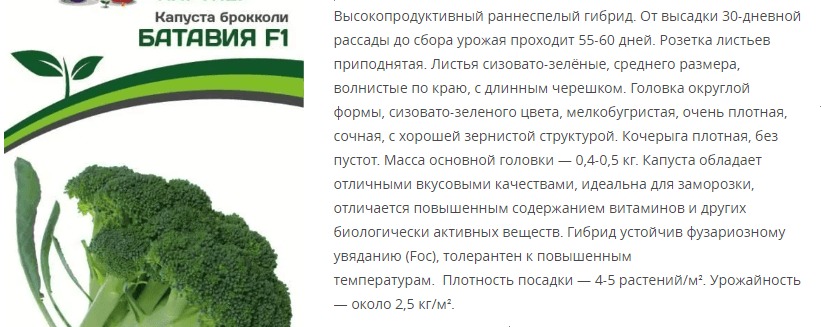 Капуста брокколи Батавия F1 (1 упаковка - 10 шт.)