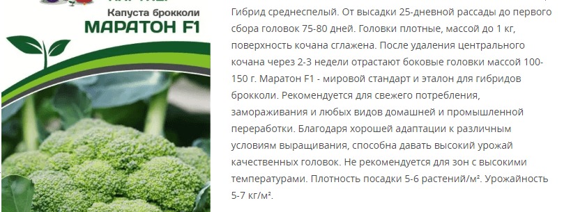 Капуста брокколи Маратон F1 (1 упаковка - 10шт.)