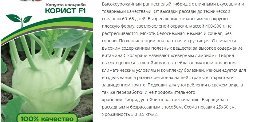 Капуста кольраби Корист F1 (1 упаковка - 10шт)