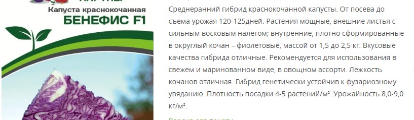Капуста краснокочанная Бенефис (1 упаковка - 0,3 гр.)