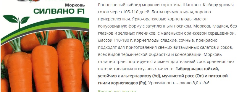 Морковь Силвано F1 (1 упаковка - 0,5 гр.)