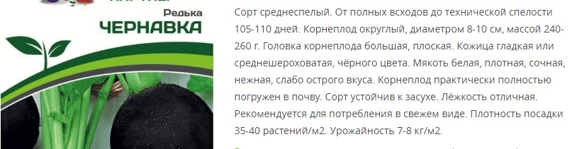 Редька Чернавка (1 упаковка - 3 гр.)