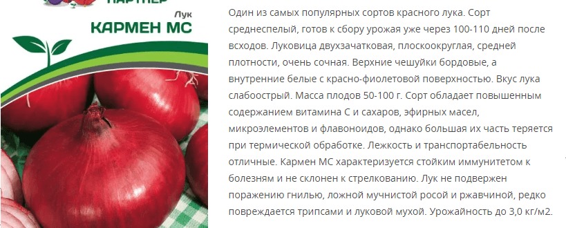 Лук репчатый Кармен МС (1 упаковка - 1 гр.)