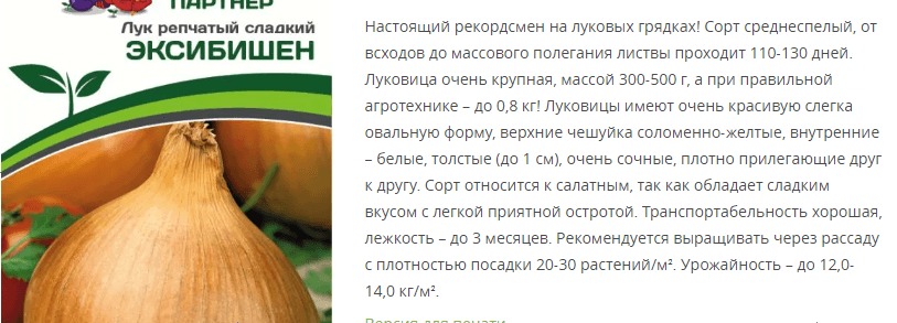 Лук репчатый Эксибишен (1 упаковка - 0,5гр.)