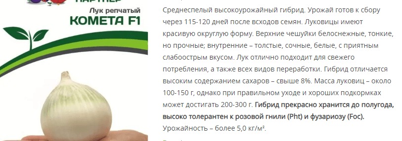 Лук репчатый Комета F1 (1 упаковка - 0,5 гр.)