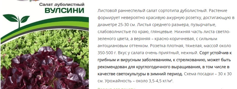 Салат дуболистный Вулсини (1 упаковка - 15 шт)