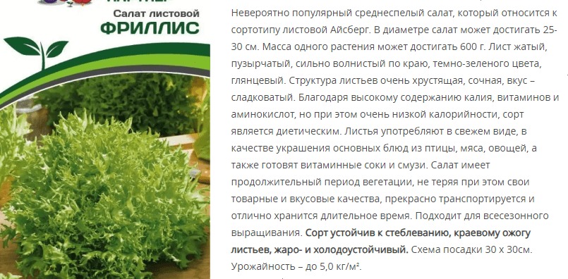 Салат листовой Фриллис (1 упаковка - 15 шт.)