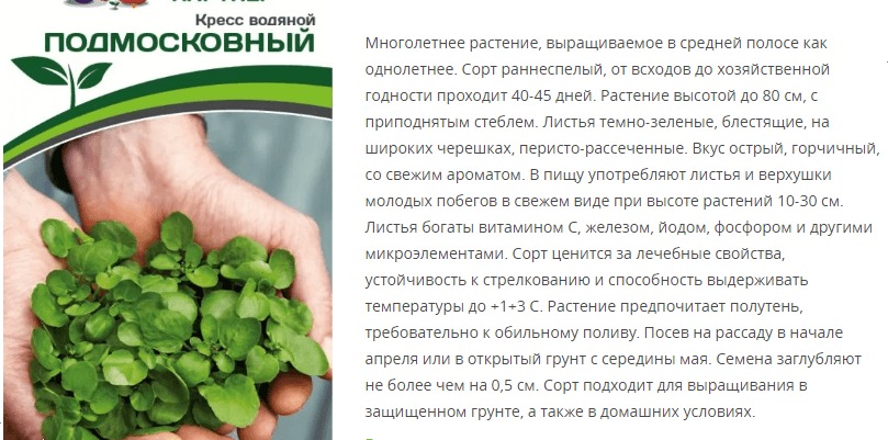 Кресс-салат водяной Подмосковный (1 упаковка - 0,2 гр)