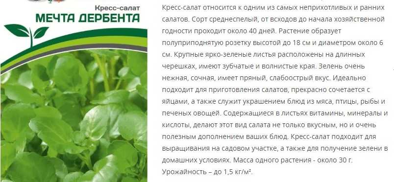 Кресс-салат Мечта Дербента (1 упаковка - 3 гр.)