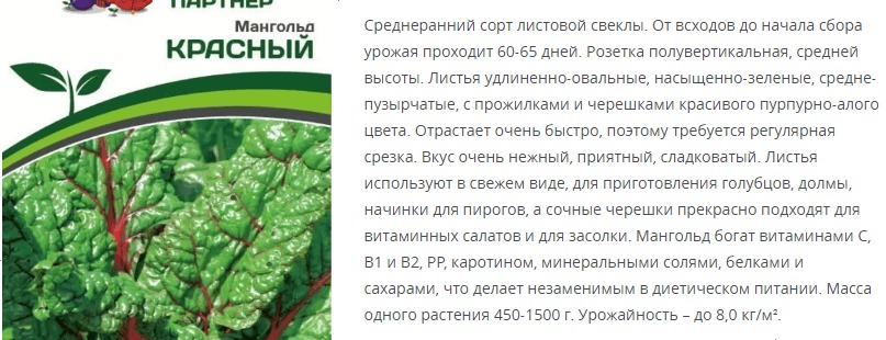 Мангольд Красный (1 упаковка - 1 гр.)