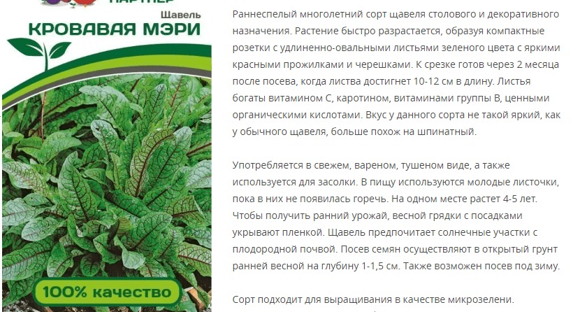Щавель Кровавая Мэри (1 упаковка - 0,2 гр.)