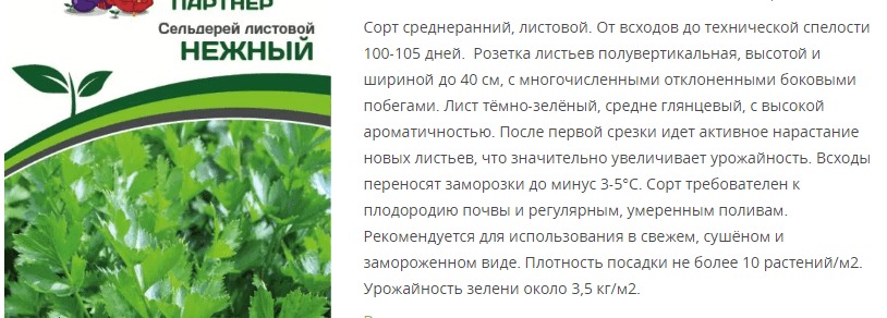 Сельдерей листовой Нежный (1 упаковка - 0,3 гр)