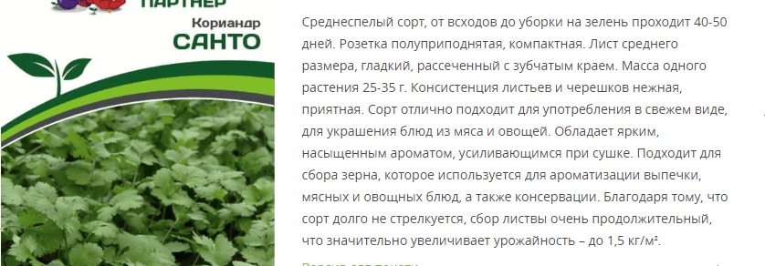 Кориандр Санто (1 упаковка - 3 гр.)