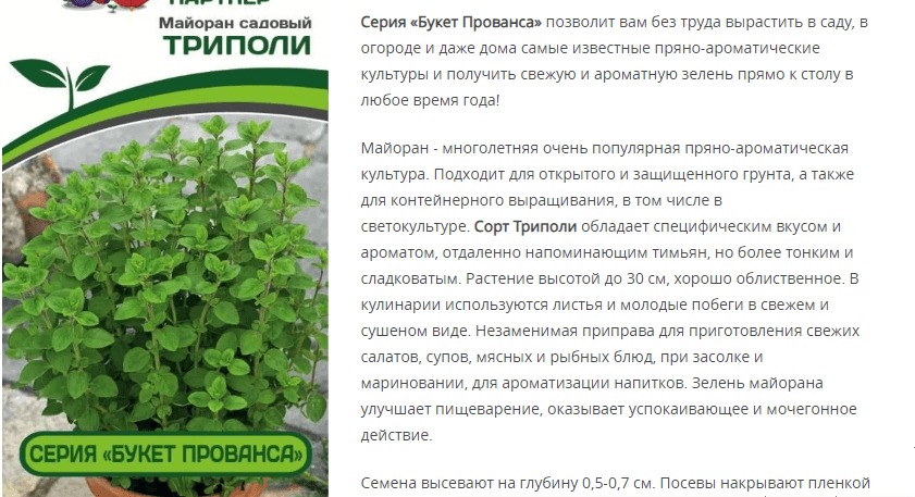 Майоран садовый Триполи (1 упаковка - 0,3 гр)