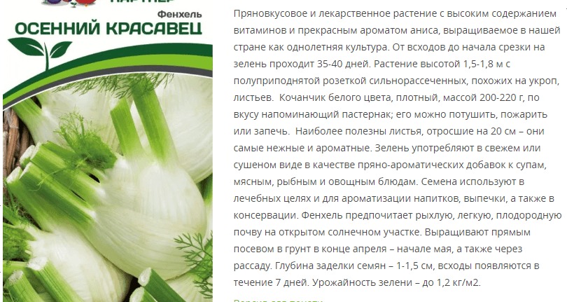 Фенхель Осенний красавец (1 упаковка - 1 гр)