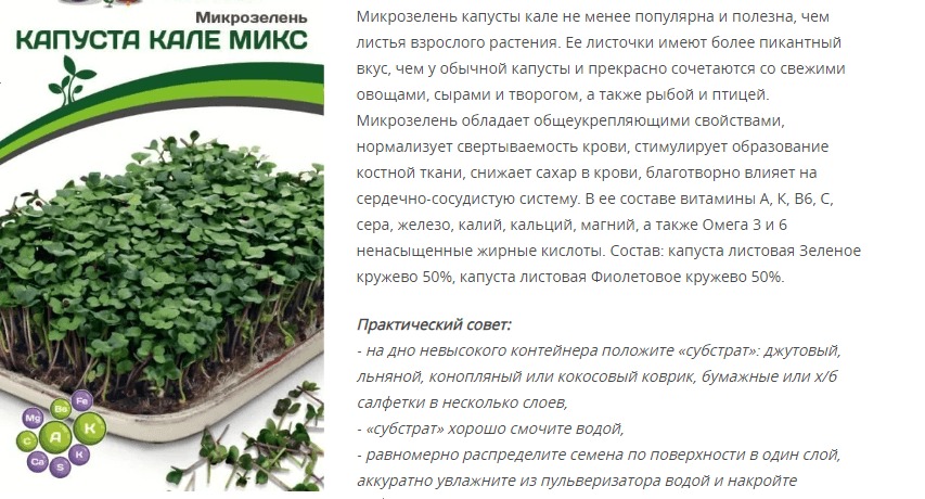 Микрозелень Капуста Кале микс (1 упаковка - 5 гр.)