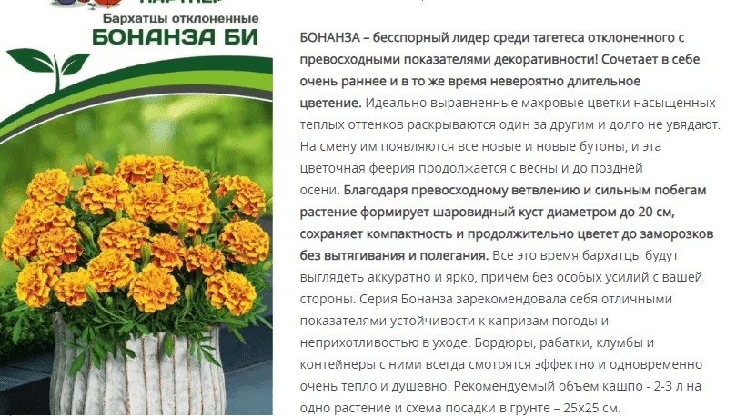 Бархатцы отклоненные Бонанза Би (1 упаковка - 10шт.)