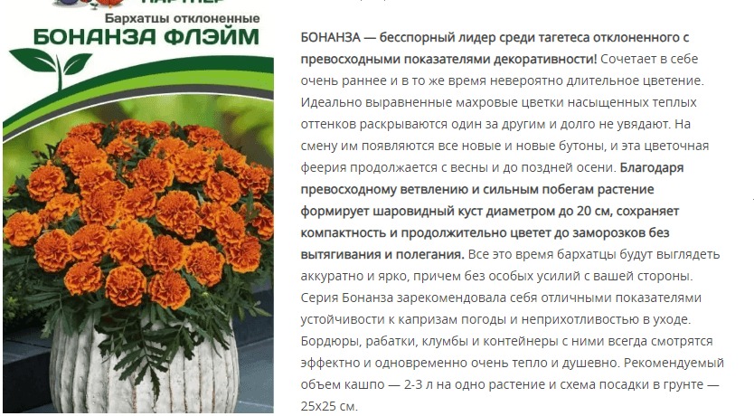 Бархатцы отклоненные Бонанза Флэйм (1 упаковка - 10 шт.)